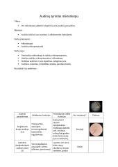Laboratorinis tyrimas mikroskopu