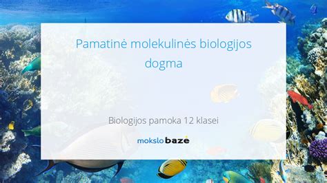 Molekulinės biologijos schema