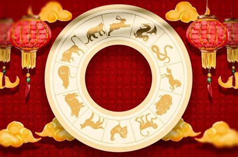 Kinų zodiako gyvūnų palyginimas