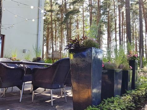 Uogų gyvatvorė kaip vertikalus elementas