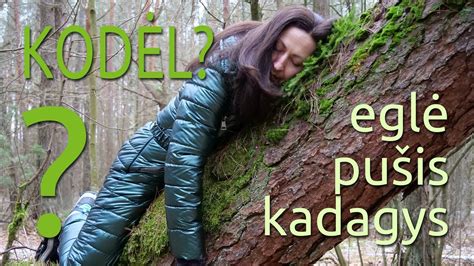Žmogus, apkabinantis medį miške