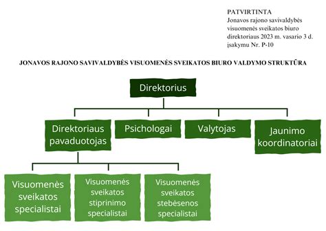 Sveikatos prevencijos schema