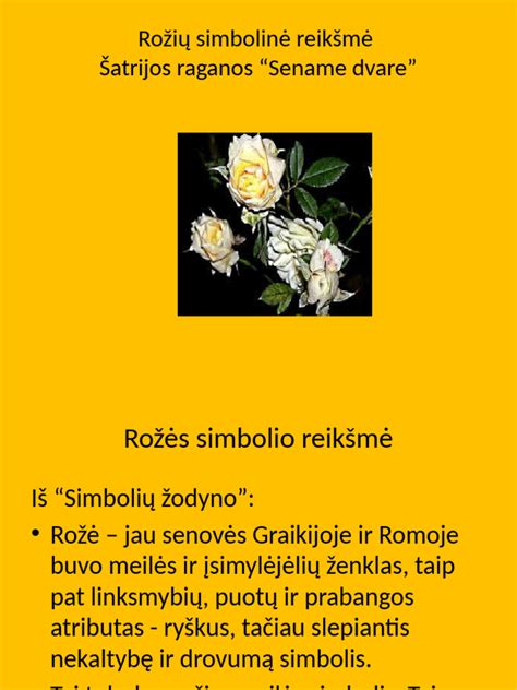 Kiaušinio sandaros simbolinė reikšmė
