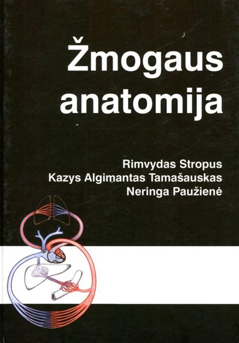 Nėščiosios prilaikančios juostos nauda ir anatomija