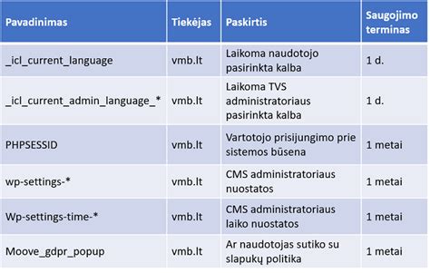 Slapukai ir jų funkcijų schema