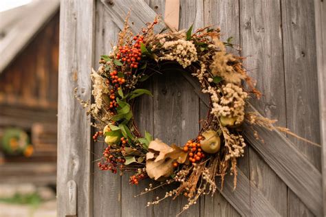 Jauki fotosesijos dekoracija miške su pledu, gitara ir laužaviete