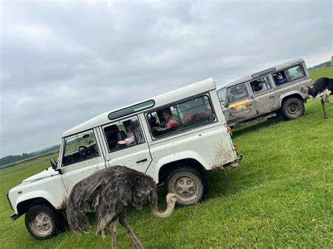 gyvūnai Safari parke