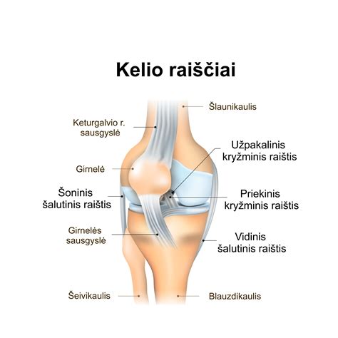 išorinio ir vidinio apvaisinimo palyginamoji schema