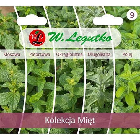 Kolekcija mėtų rūšių