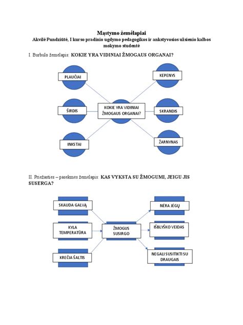 Pavyzdys, kaip užpildyti mąstymo žemėlapį