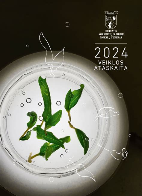 Ataskaitos parengimo procesas