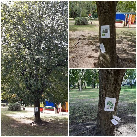 Saugios ir draugiškos aplinkos kūrimas darželyje