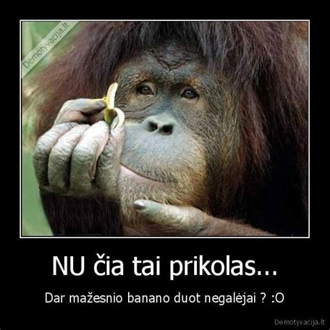 Juokinga nuotrauka su dvynukais