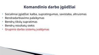 Komandinio darbo principai ugdymo įstaigoje