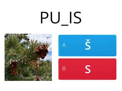 Vaikas rūšiuoja paveikslėlius su garsais 