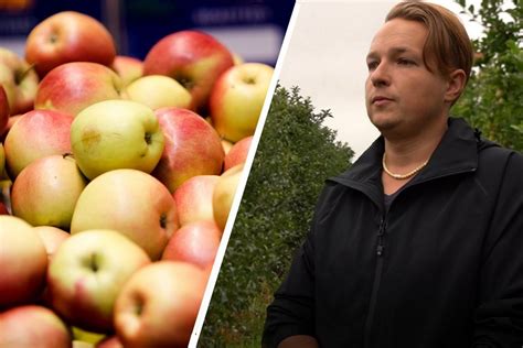 Vaikų sukurti obuolių maketai