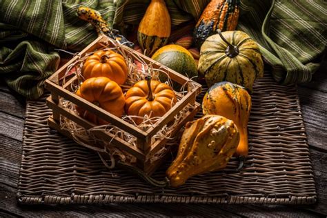 Rudens dekoracijos lauke: moliūgai ir lapai