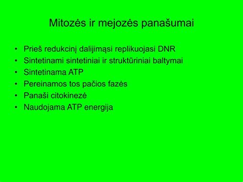 Mitozės ir mejozės schematinis palyginimas