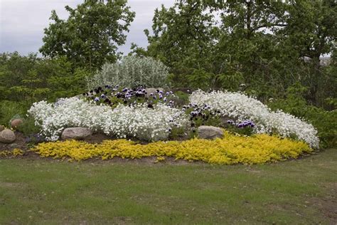 Merkinės globos namų kiemas vasarą