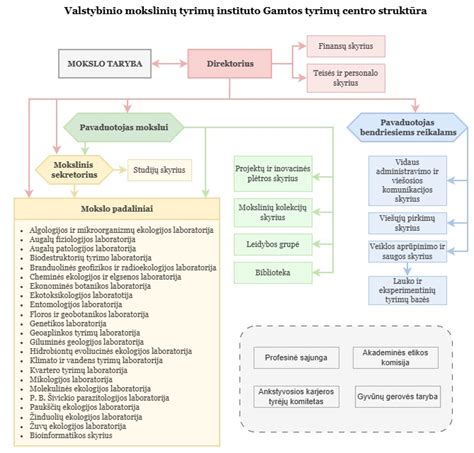Invazinių tyrimų procedūros schema