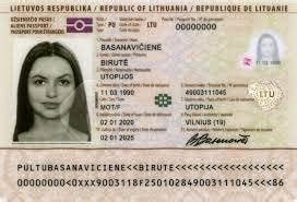 Seno lietuviško paso pavyzdys