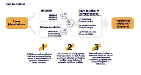 mokymosi internetu koncepcija