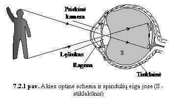 Akies sandaros schema