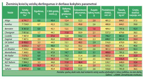 Populiarių agurkų veislių palyginimas