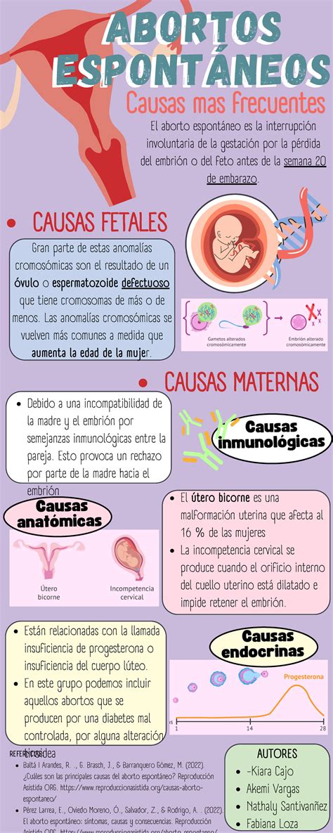 medicininio aborto eigos schema