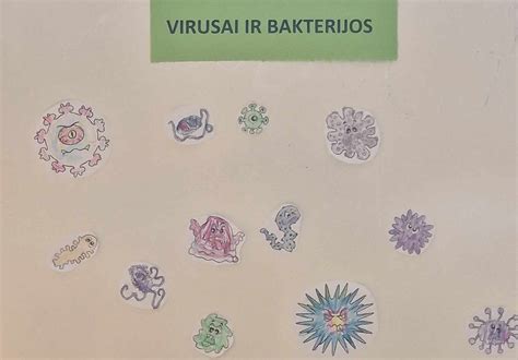 Virusų ir bakterijų sukeltas viduriavimas