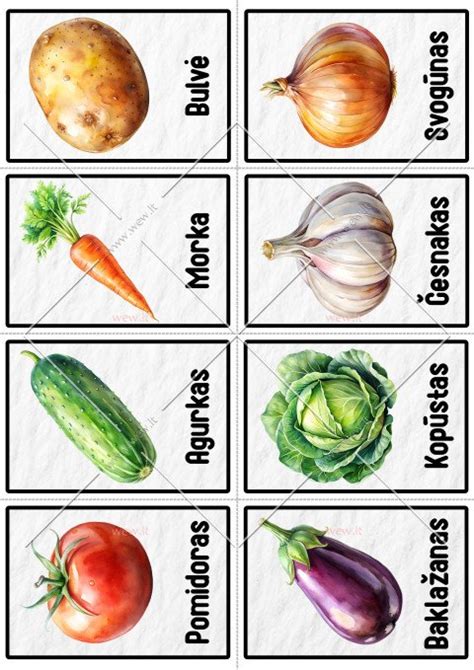 daržovių iliustracijos vaikams