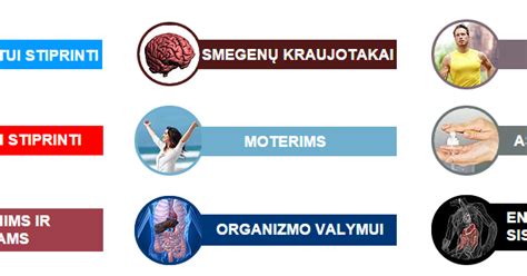 Infografika: Ternerio sindromo poveikis skirtingoms organizmo sistemoms