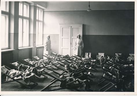 Pieno lašo naudojimas speneliams