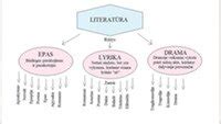 Dvynių tipai: identiški ir neidentiški