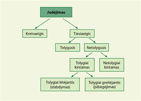 Globos rūšių schema
