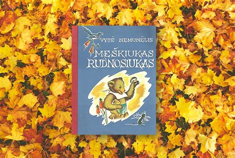 Vytės Nemunėlio „Meškiukas Rudnosiukas“ knygos viršelis su iliustracijomis