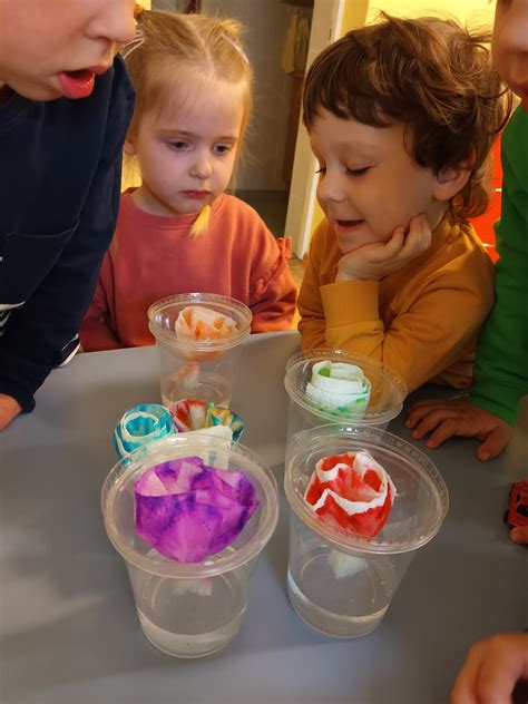 Vaikai tiria augalų augimą STEAM projekte