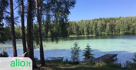 Vaikai žaidžiantys prie ežero