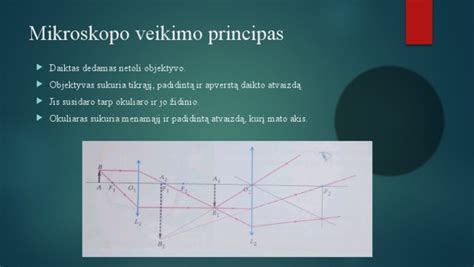 Schematinis slapukų veikimo principas