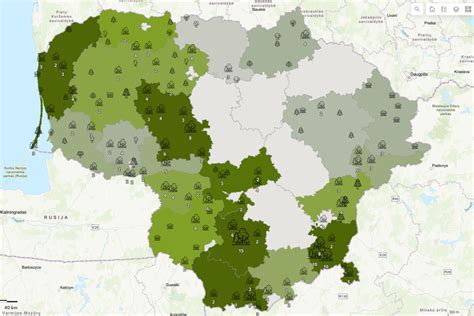 Lietuvos miškų įvairovė