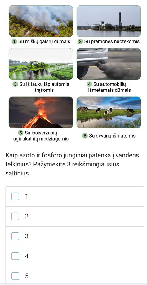 Schema, kaip apvaisintas kiaušinėlis patenka į gimdą