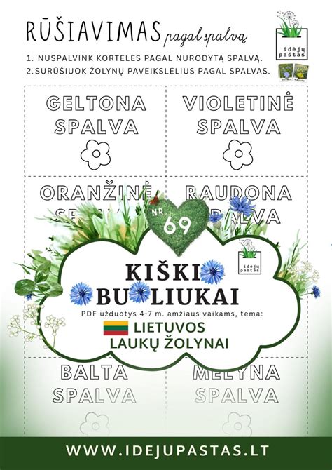 Lietuvos pievų žolynai, naudojami aromaterapijoje