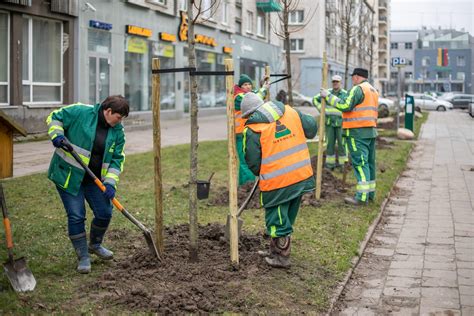 Vaikai, sodinantys medžius ar prižiūrintys gėles