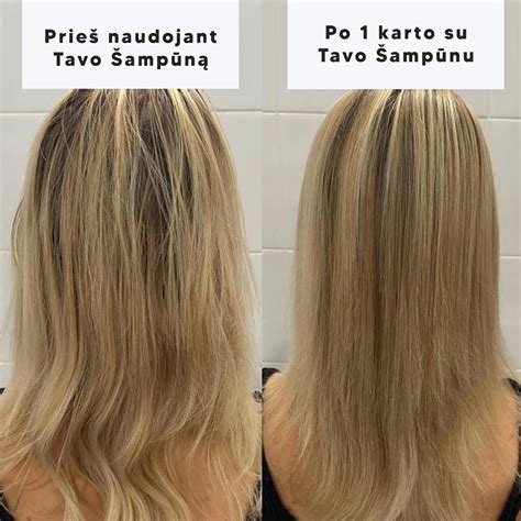 BABE šampūnas riebiai galvos odai