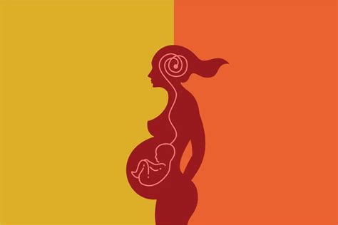 Nėščiosios hormoniniai pokyčiai ir jų įtaka savijautai