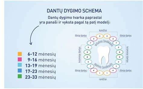 Dantenų paraudimas ir patinimas dygstant dantukams