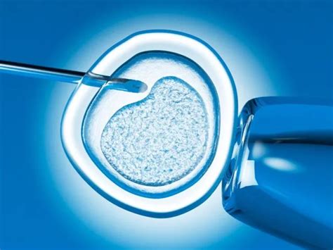 IVF apvaisinimo procesas laboratorijoje