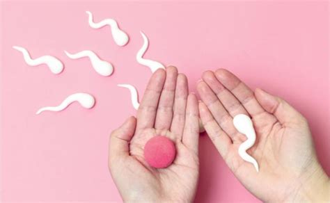 Schematinis vaizdas, kaip atliekama intrauterininė inseminacija