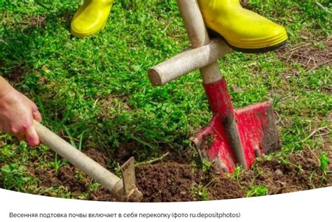 Подготовка почвы для посадки: внесение компоста и перекопка