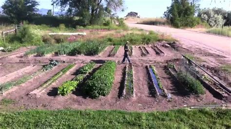 Сравнение узких и широких грядок для выращивания овощей